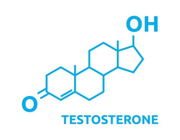 Erhöhung des Testosterons nach Verwendung Eroboost