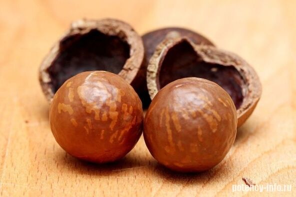 Macadamia für Potenz
